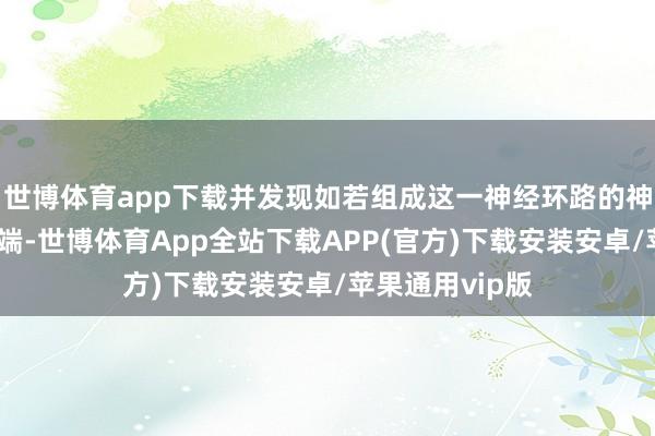 世博体育app下载并发现如若组成这一神经环路的神经细胞出现极端-世博体育App全站下载APP(官方)下载安装安卓/苹果通用vip版