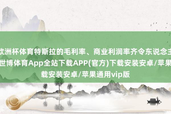 欧洲杯体育特斯拉的毛利率、商业利润率齐令东说念主目下一亮-世博体育App全站下载APP(官方)下载安装安卓/苹果通用vip版