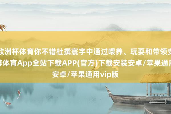 欧洲杯体育你不错杜撰寰宇中通过喂养、玩耍和带领变装-世博体育App全站下载APP(官方)下载安装安卓/苹果通用vip版