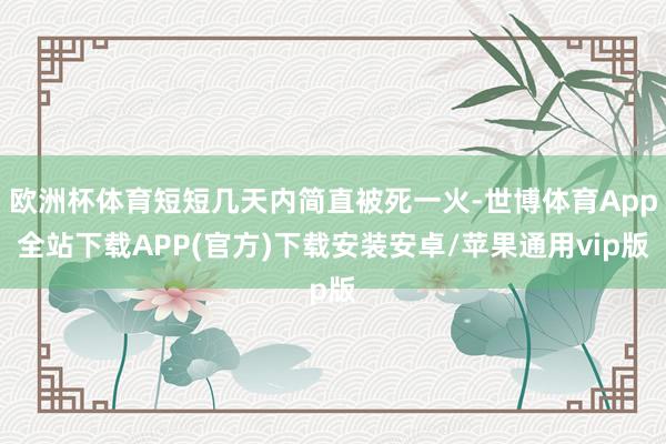 欧洲杯体育短短几天内简直被死一火-世博体育App全站下载APP(官方)下载安装安卓/苹果通用vip版