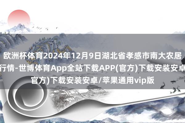 欧洲杯体育2024年12月9日湖北省孝感市南大农居品批发市集价钱行情-世博体育App全站下载APP(官方)下载安装安卓/苹果通用vip版