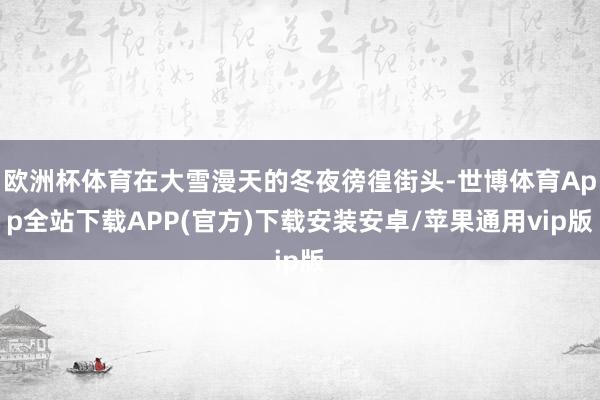 欧洲杯体育在大雪漫天的冬夜徬徨街头-世博体育App全站下载APP(官方)下载安装安卓/苹果通用vip版