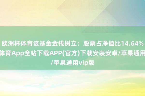 欧洲杯体育该基金金钱树立：股票占净值比14.64%-世博体育App全站下载APP(官方)下载安装安卓/苹果通用vip版