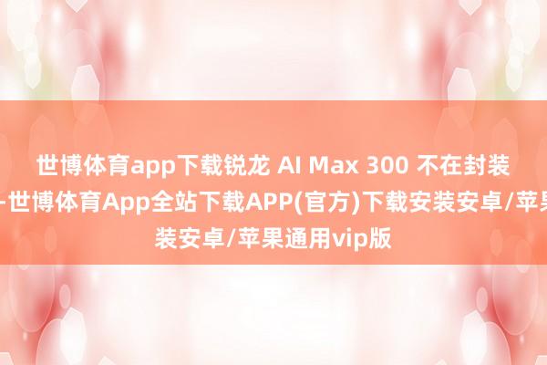 世博体育app下载锐龙 AI Max 300 不在封装中集成内存-世博体育App全站下载APP(官方)下载安装安卓/苹果通用vip版