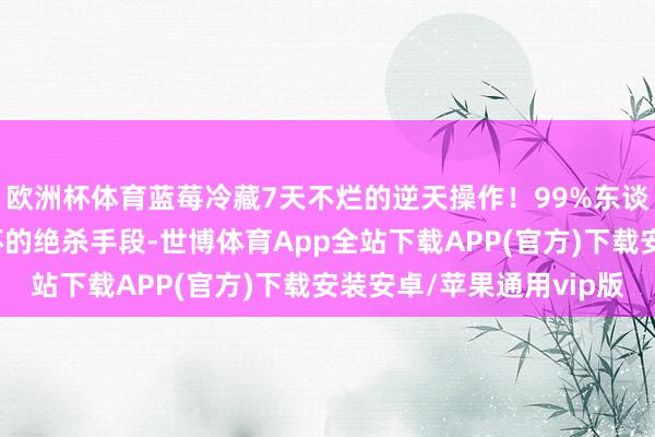 欧洲杯体育蓝莓冷藏7天不烂的逆天操作！99%东谈主不知谈冷冻1月不坏的绝杀手段-世博体育App全站下载APP(官方)下载安装安卓/苹果通用vip版